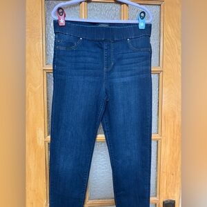 Liverpool Jeans Company Dark Blue Jeggings
